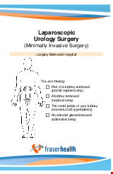 PDF Thumbnail for Laparoscopic (MIS) Urology Surgery 