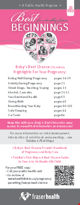 PDF Thumbnail for Best Beginnings: Highlights For Your Pregnancy Bookmark