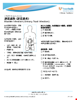 PDF Thumbnail for Bladder Infection (Urinary Tract Infection) 