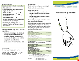 PDF Thumbnail for Radial Artery Sheath