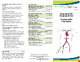PDF Thumbnail for Angiography/Angiogram