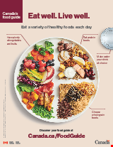 PDF Thumbnail for Canada Food Guide Snapshot