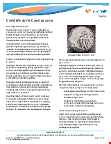 PDF Thumbnail for Candida auris