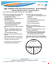 PDF Thumbnail for South Asian Meal Plan for Diabetes - 30 gram Carbohydrate